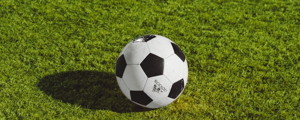 世界杯比赛场馆鸟瞰图，展示绿色草坪和观众席